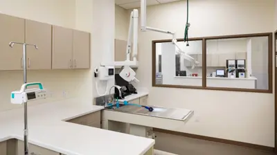 Dorset Street Animal Hospital Photo
