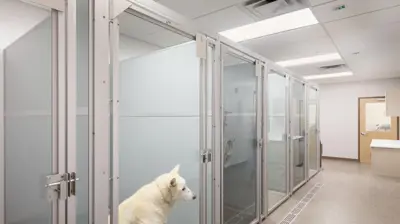 Dorset Street Animal Hospital Photo